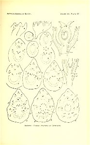 n482_w1150