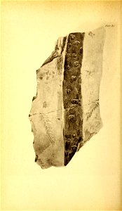 n209_w1150