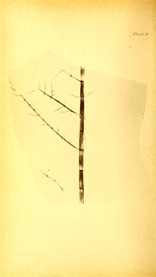 n31_w1150