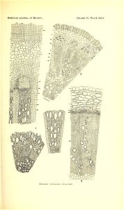n168_w1150