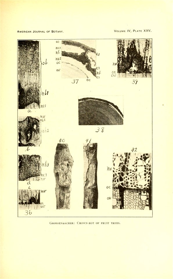 n588_w1150