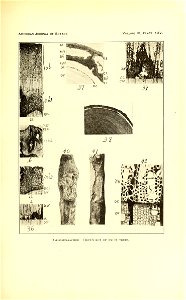 n588_w1150