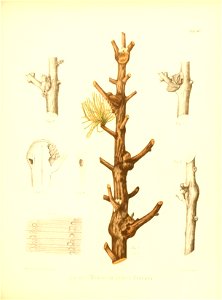 n498_w1150