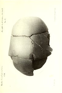 n434_w1150