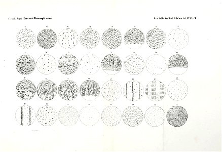 n382_w1150