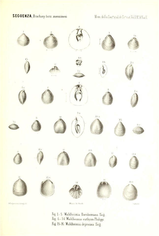 n180_w1150