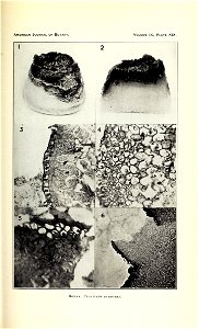 n428_w1150