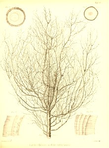 n496_w1150