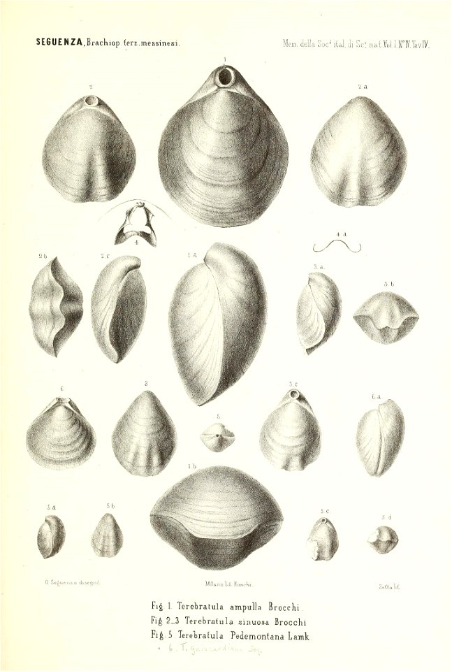 n178_w1150