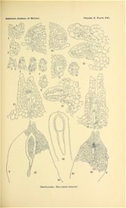n220_w1150