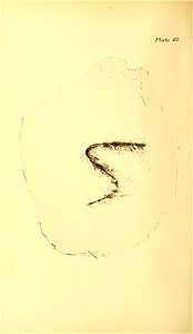 n257_w1150
