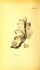 n201_w1150