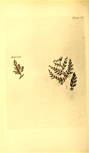 n143_w1150