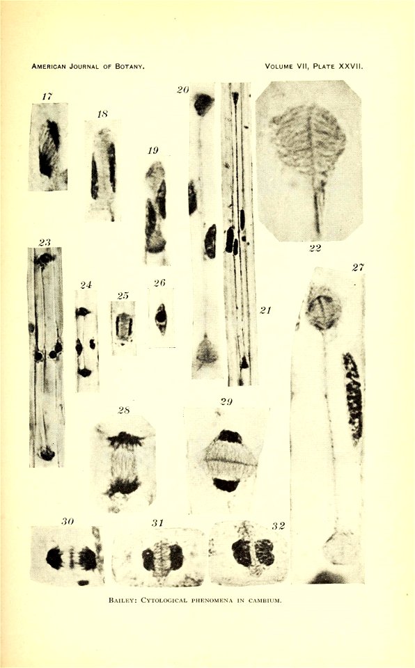 n538_w1150
