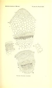 n172_w1150
