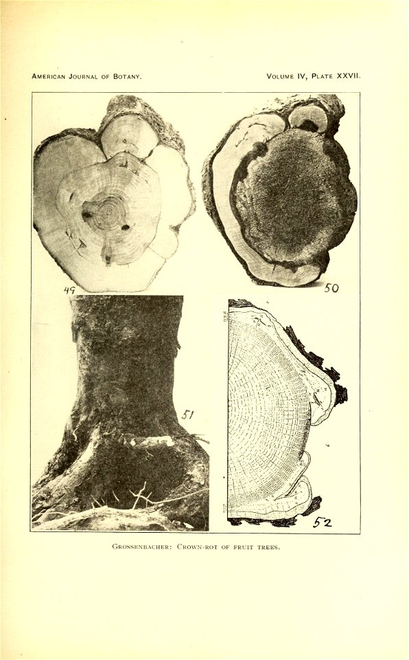 n592_w1150