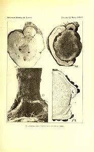 n592_w1150