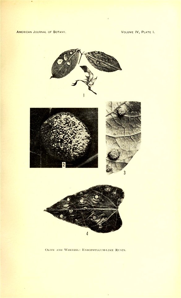 n68_w1150