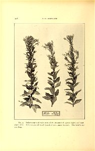 n135_w1150