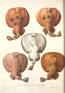 n663_w1150