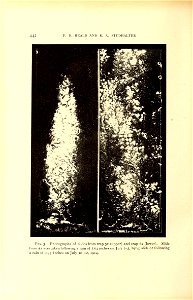 n503_w1150