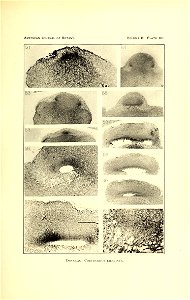n370_w1150