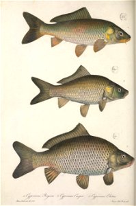n251_w1150
