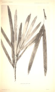 n79_w1150
