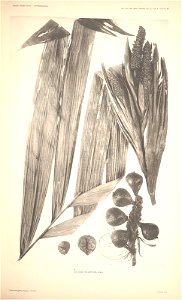 n49_w1150