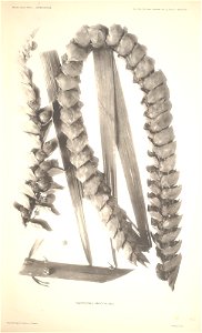 n19_w1150