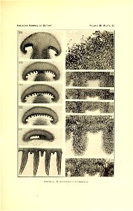 n368_w1150