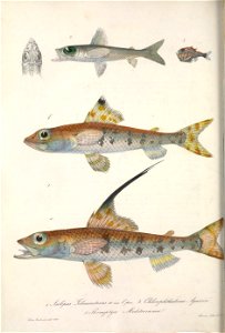 n389_w1150