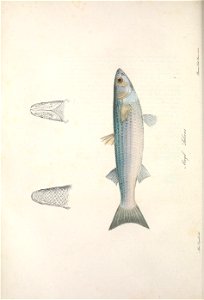 n121_w1150