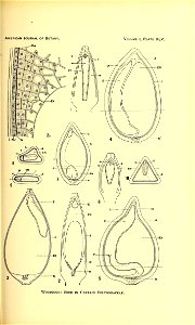 n618_w1150