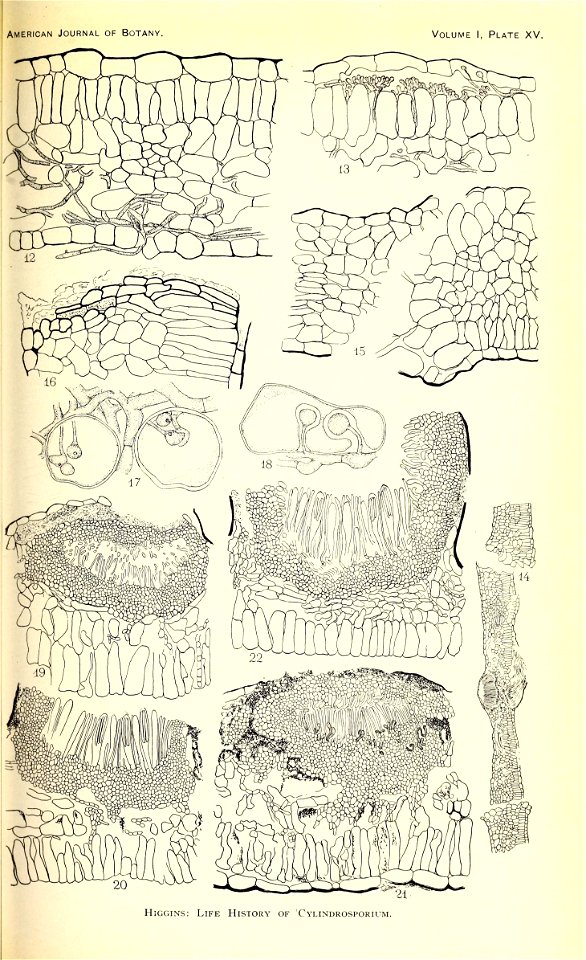 n232_w1150