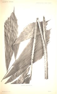 n78_w1150