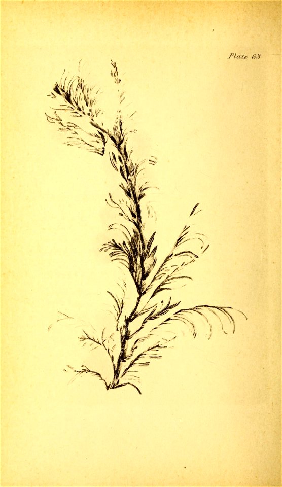 n261_w1150