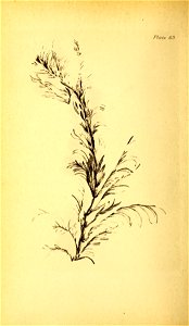 n261_w1150