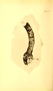 n205_w1150