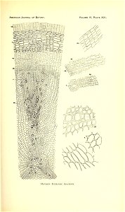 n166_w1150