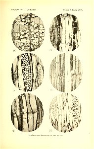 n456_w1150