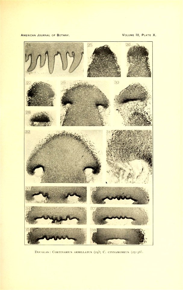 n366_w1150