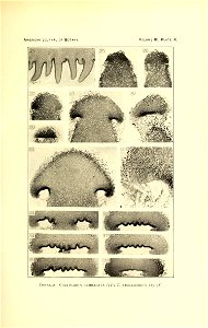 n366_w1150