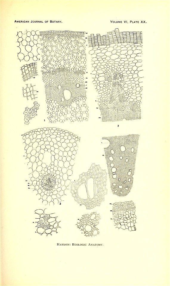 n164_w1150