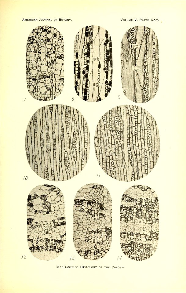n454_w1150