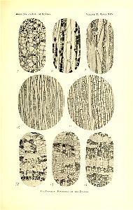 n454_w1150