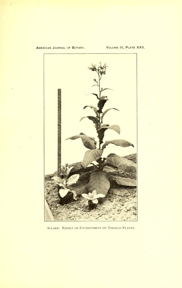 n562_w1150