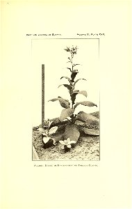 n562_w1150