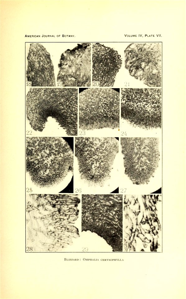n274_w1150