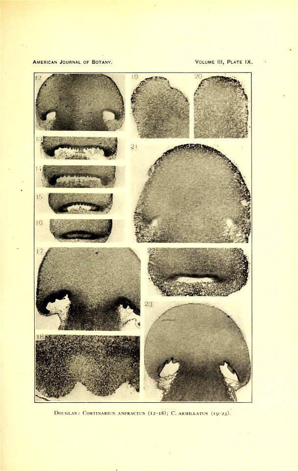 n364_w1150